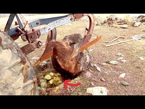 I found treasure in the field with the tractor