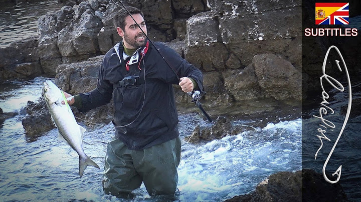 Un giornata di pesca memorabile! Tantissimi pesci predatori!