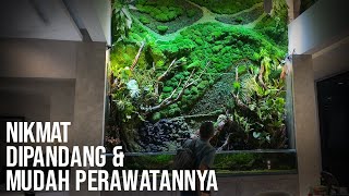 KONSEP BARU! KOMBINASI  ANTARA PALUDARIUM DAN VERTICAL MOSS JADI SATU