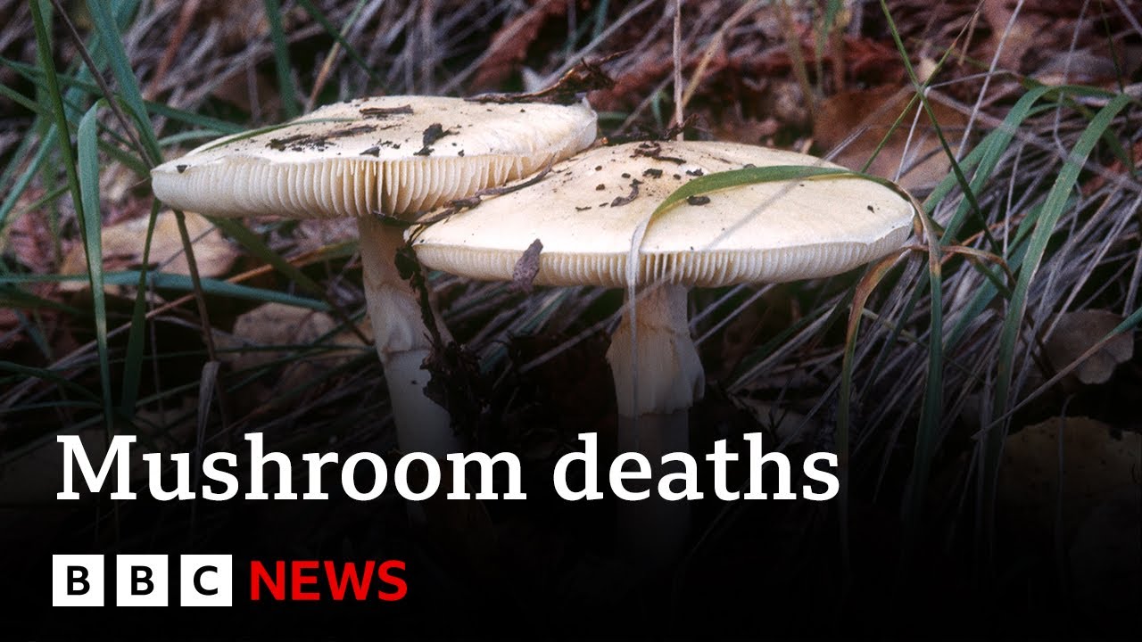Australia mushroom deaths: Woman charged with murder – BBC News