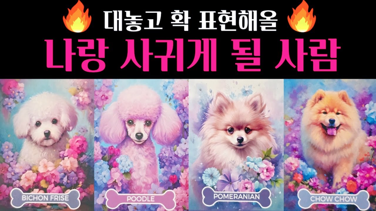 [타로] 😲앞으로 나랑 사귀게 될 사람💕외모 성격 시기 장소 직업 딱! 집어 알려드려요🔥