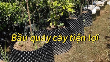 💥💥 BẦU QUÂY GIÁ RẺ, TIẾT KIỆM NHÂN CÔNG CHO CÁC BÁC NHÀ VƯỜN,CÂY CÔNG TRÌNH 🌲🏝️
