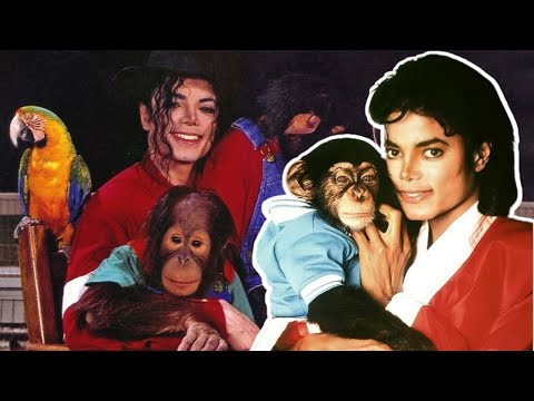 Video: Pet Scoop: Michael Jackson Tiger Dies, grupas palīdz saglabāt mājdzīvniekus no Colorado ugunsgrēkiem