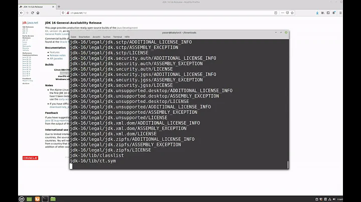 Install Open JDK 16 Java on Linux Mint (Debian, Ubuntu), Installation von Open JDK 16 Java auf Linux