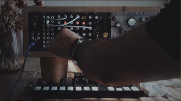TipTop Audio ART Octopus, ATX1 and Vortex, MI Ripples, Warp, Torso T-1 and Teenage Engineering TX-6