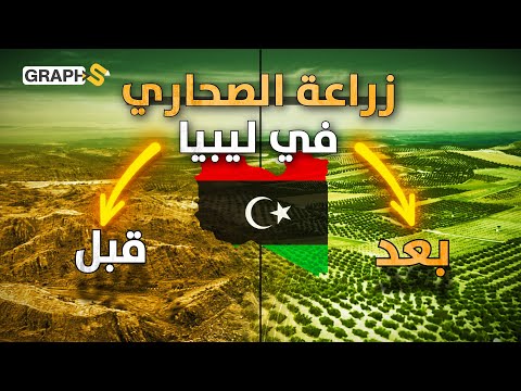 مليون شجرة زيتون في صحراء ليبيا وغابة خضراء في قلب الرمال ليبيا الخضراء