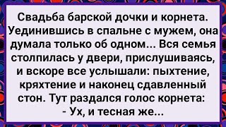 Как Барыня и Корнет Первую Брачную Ночь Провели! Большой Сборник Свежих Смешных Анекдотов!