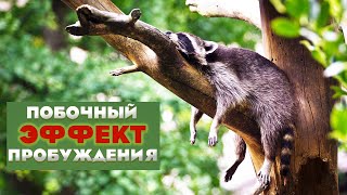 Безразличие? Нет, это - пробуждение! Саламат Сарсекенов.