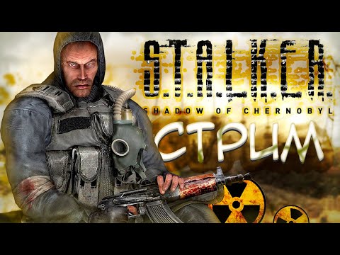 Видео: СТАРЫЙ ДОБРЫЙ STALKER Shadow of Chernoby