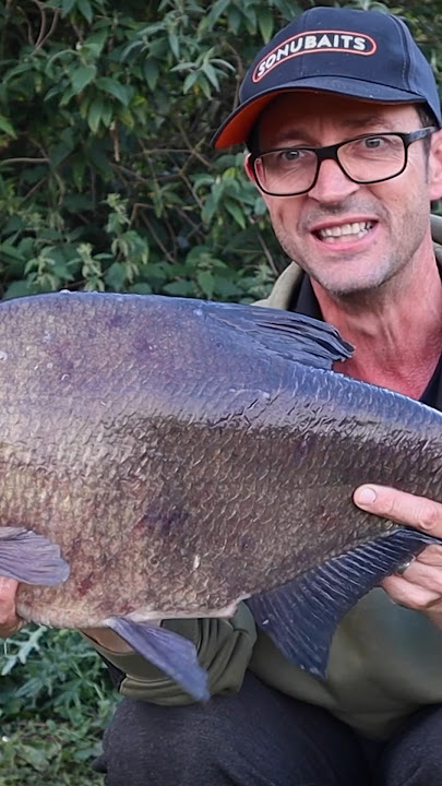 BIG BREAM TIPS - Bait and rigs to catch more Bream