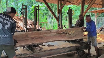 Terrifying Fear While Sawing Black Teak Wood at the Sawmill