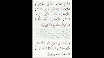 سوره بقره آیات ۱۹۲و۱۹۳با معنی گویا گوارای وجودتان #قرآن #قران_كريم #قران #قرآن_كريم #youtube