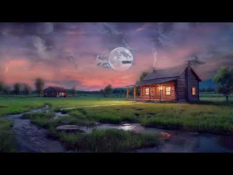 Quiet Night -