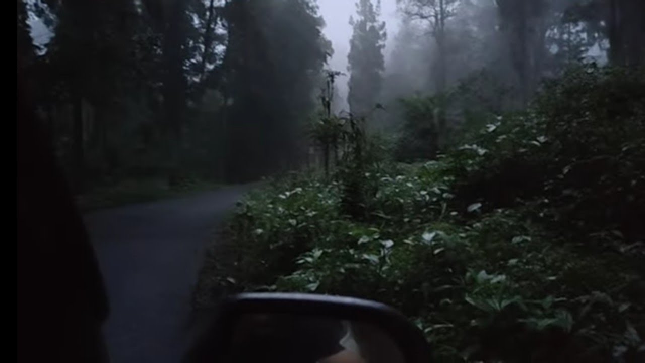 tembus kabut malam jalur hutan Baturraden pratin 15 km