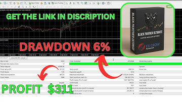 Black Panther Ultimate 2020 v1.5 EA MT4 | Powerful & Aggressive Forex Trading Bot