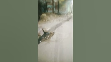 Tech news - Gigabyte Launches AI TOP For Local AI Training At COMPUTEX 2024