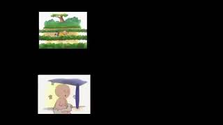 Opening To Fred 3 Camp Fred 2012 Dvd