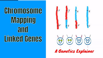 Chromosome Mapping and Linked Genes
