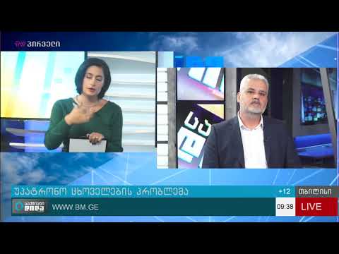 უპატრონო ცხოველების პრობლემა