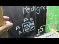 Lightboard Studio Setup Quiz