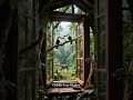 imagination 1 #shortsfeed #shorts #shortvideo #challenge #like #dream #life #trending #youtuberlife