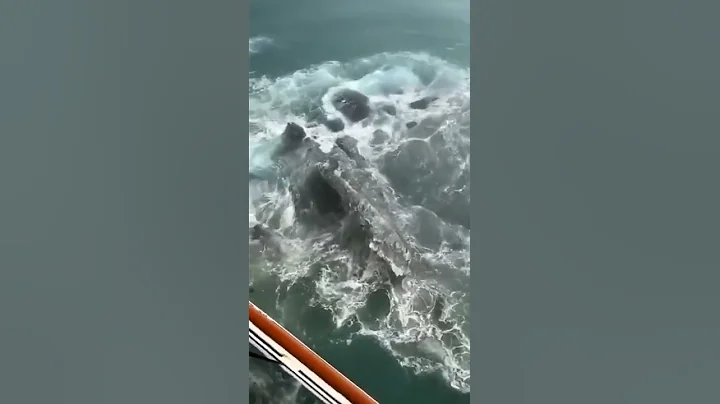 Norwegian Cruise Ship hits Iceberg in Alaska🌊⛴️ Man shouts 'TITANIC 2.0'😮