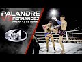 Palandre vs fernandez  fno 18 arena st etienne  muay tha