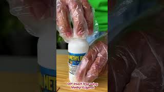 DIY Insect Trap Using Methyl Eugenol. Check the description box for full instructions. #Gardening