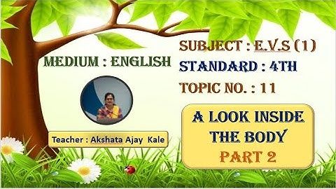 11. A look inside the body Part 2 | 4th E.V.S.(1).