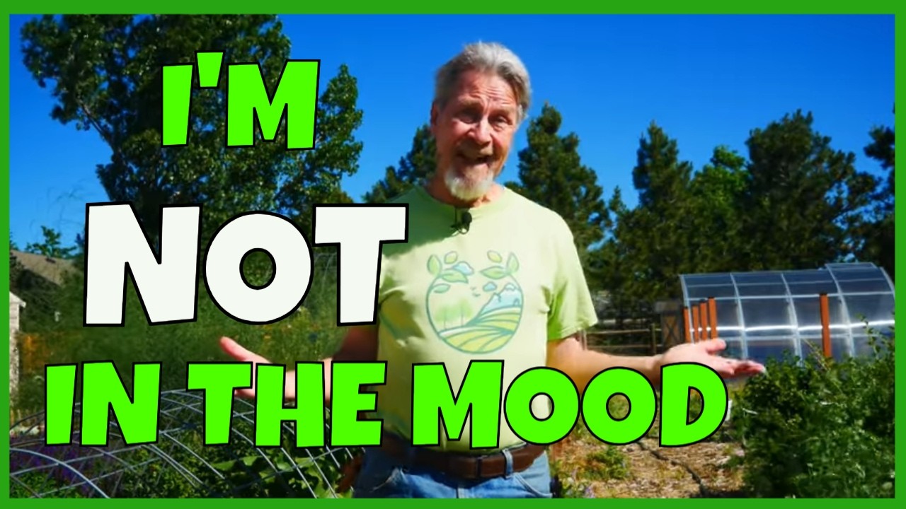 Staying Motivated in the Garden