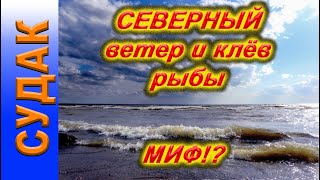 СЕВЕРНЫЙ ветер и клёв СУДАКА