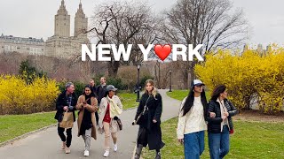 [4K]🇺🇸NYC Spring Walk🌷🌼Flowers Blooming in Central Park,New York City | Mar 2024