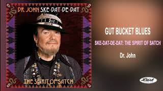 Dr. John ~ Gut Bucket Blues w/Nicholas Payton