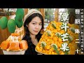 Mango Desserts | Summer Treats 號稱“熱帶水果之王”的廣東覃鬥芒果有多好吃？能吃出椰香的芒果只此一地 | Summer Kitchen•夏廚陳二十【368】