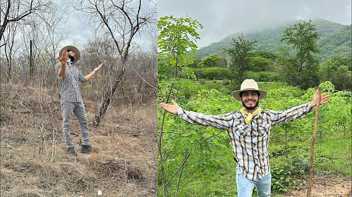 This is how we went from DRY to this beautiful GREEN of nature 😱🤠🍃🍃
