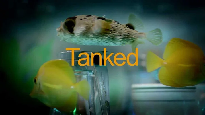 TANKED: New Episodes Friday at 9PM EP