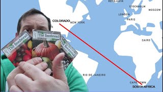 The Seedstead | Heirloom Seed Company Spotlight