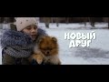 Новый друг. Короткометражный фильм