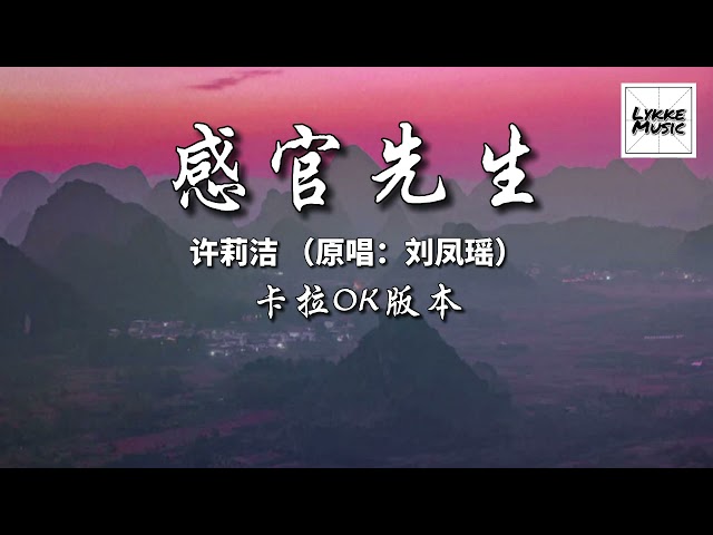 感官先生 （KARAOKE 伴奏）/ Gan Guan Xian Sheng - 許莉潔 （原唱：劉鳳瑤）「怎麼天都黑了睡 不著的人吶沒夢做 」拼音歌詞 PINYIN LYRICS class=