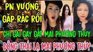 Mai Phuong Thuy's Sister Harshly Sends Final Words | Public Outraged at Vuong Using Land for Tour...