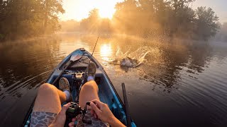 A Relaxing Morning of Topwater Fishing in Hidden Paradise!
hidden, untouched, and loaded with fish, whats more to love!
clothing: https://strictlyfishingapparel.com
Reel is a Piscifun Alumix 300: http://piscifun.us/naspeltz (code speltz18 to save 18%)
Kayak is a old town sportsman 120: https://alnk.to/2FGpdrl
line: https://barbarianbraid.com/
lure: Gan Craft US 250th Anniversary, limited edition Topwater Eagle #00/250
#topwater #topwaterfishing #bassfishing A Relaxing Morning of Topwater Fishing in Hidden Paradise!