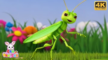 Con Cào Cào Có Cái Cánh Xanh Xanh - LK Nhạc Thiếu Nhi Vui Nhộn