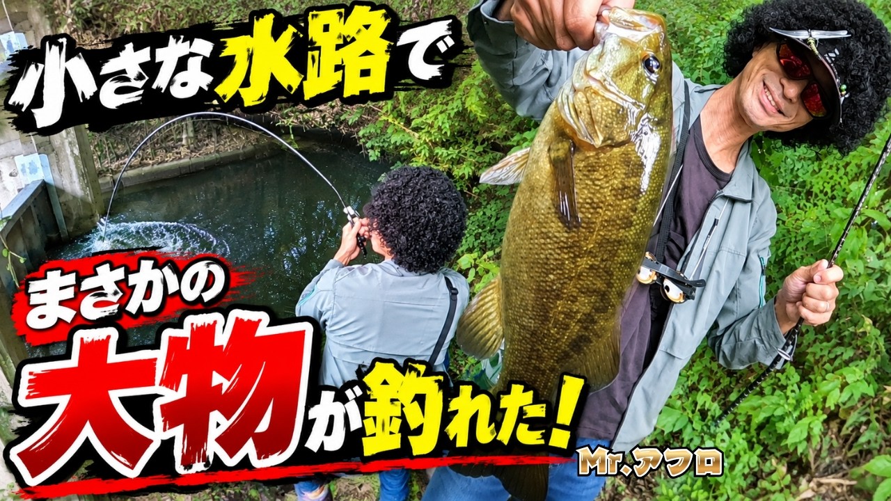 【想定外！】こんな小さな水路でデカバスがヒット！？スモールマウスバスの引きに悪戦苦闘！！　bassfishing/blackbass