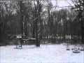 "Nemo" in the backyard