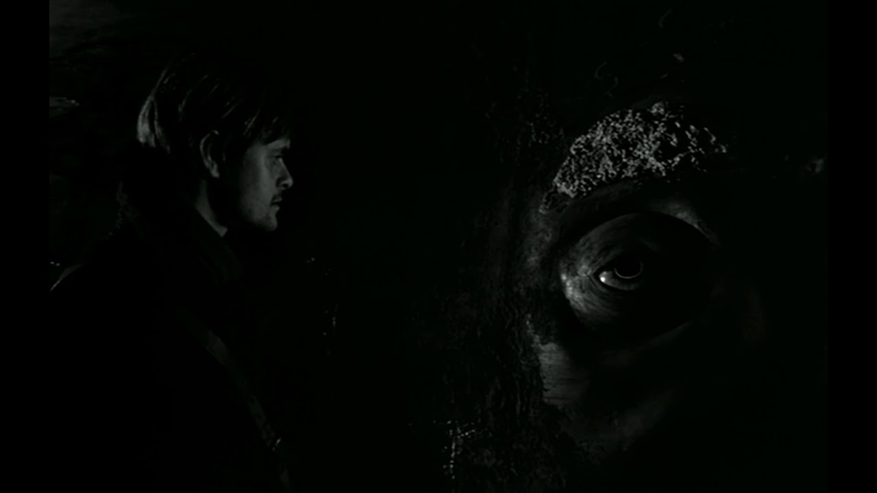 Mihály Víg - Valuska // Werckmeister Hármoniák