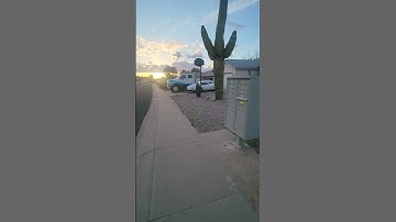 Thumbnail of Saguaro Cactus on a morning walk! @ArizonaAmbience