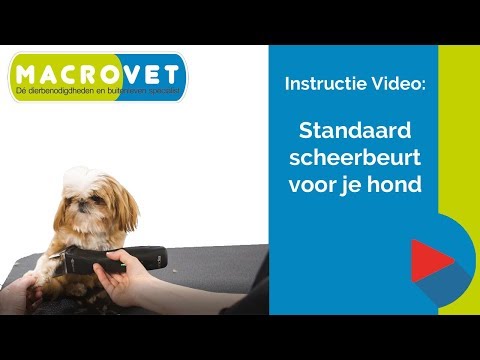 Video: Hoe de perfecte kraag voor uw hond te plukken