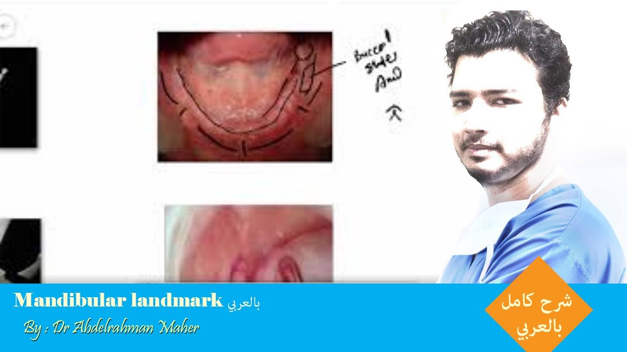 mandibular landmark بالعربي