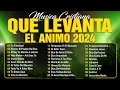 Musica Cristiana Para Sentir La Presencia de Dios 🙏 Hermosas Alabanzas Cristianas De Adoracion 2024