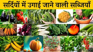 सर्दियों के मौसम में उगाने के लिए टॉप 20 सब्जियां | Top 20 Winter Vegetables To Grow This Season